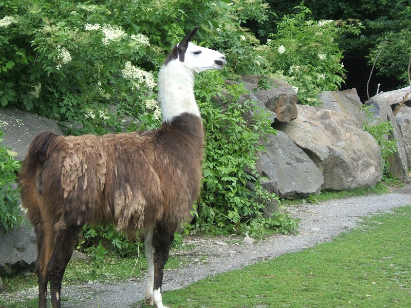 ZOO a akvapark Jihlava