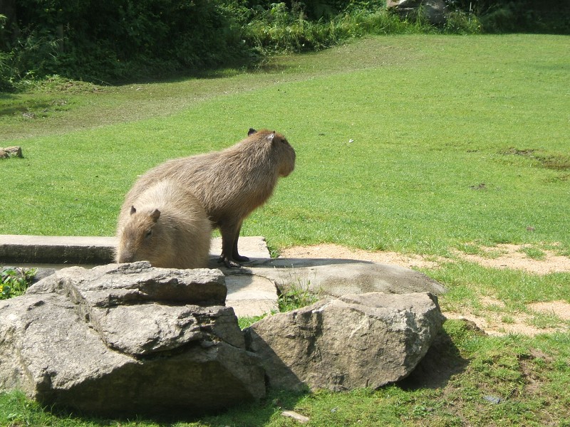 ZOO a akvapark Jihlava