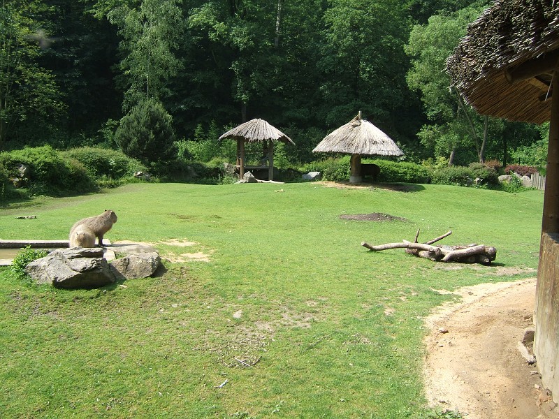 ZOO a akvapark Jihlava