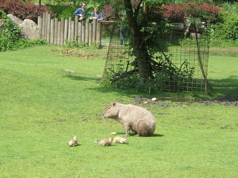 ZOO a akvapark Jihlava