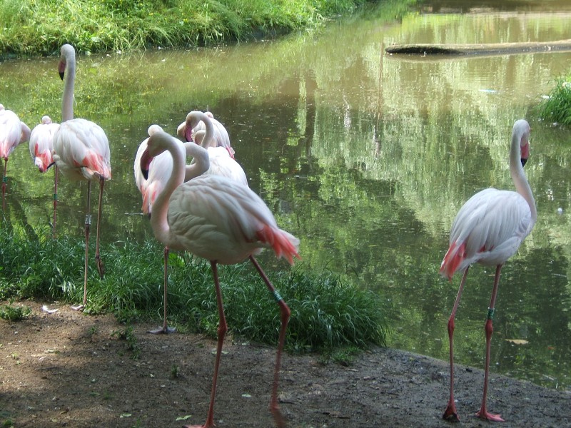 ZOO a akvapark Jihlava