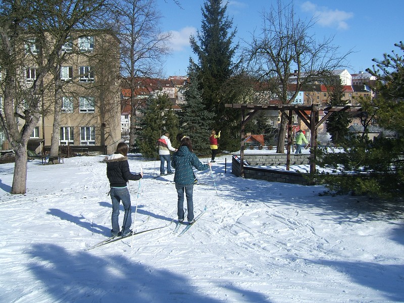 Lyovn na koln zahrad