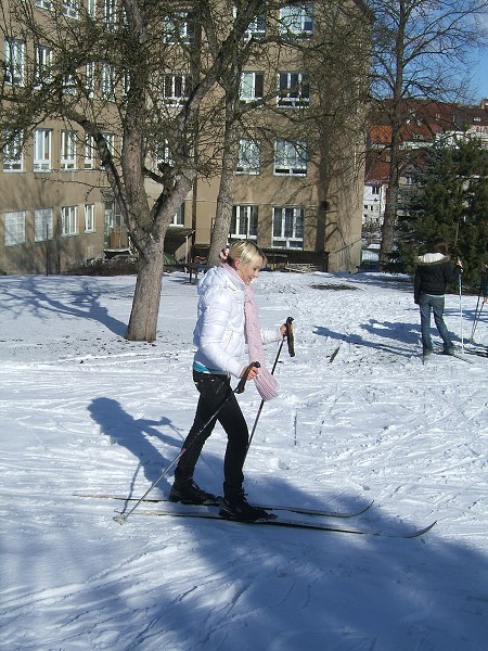 Lyovn na koln zahrad