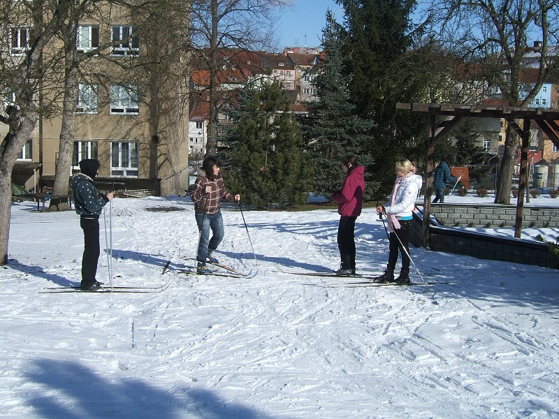 Lyovn na koln zahrad