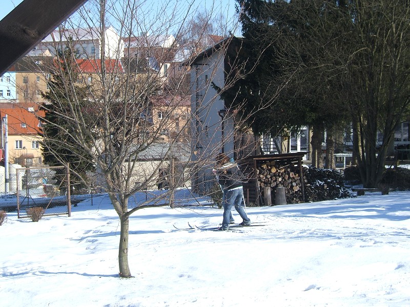 Lyovn na koln zahrad