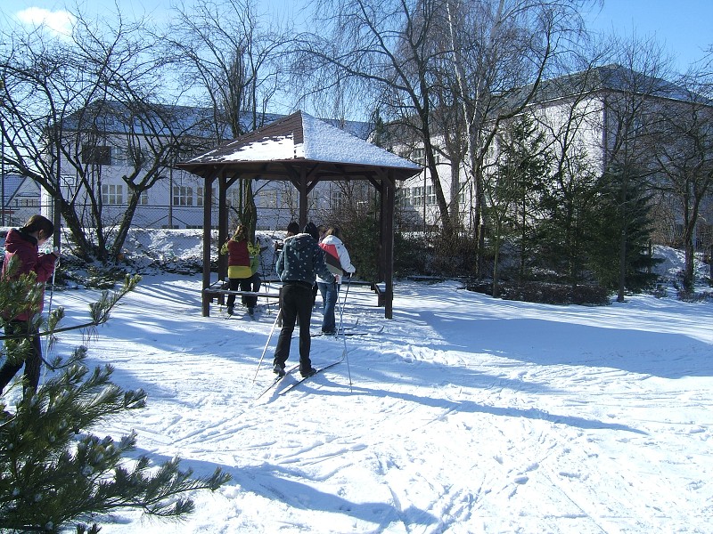 Lyovn na koln zahrad