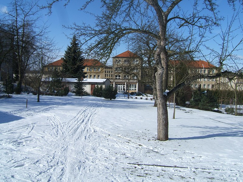 Lyovn na koln zahrad